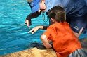 Kids_SeaWorldSA-2013 (84)